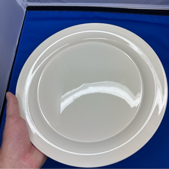 Nancy Calhoun Multicolor Dinner Plates in 4 Colors - Picture 9 of 12